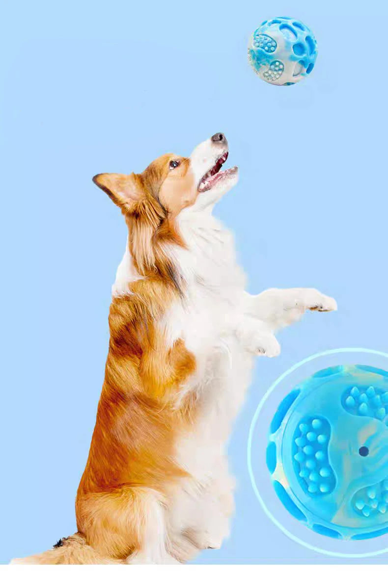 Pet dog toys are sturdy and durable, can alleviate teething discomfort, and are suitable for use during outdoor training.